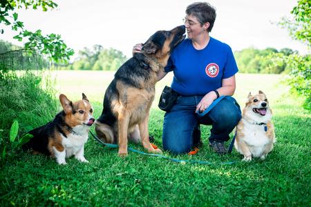 A Better Companion Dog Training