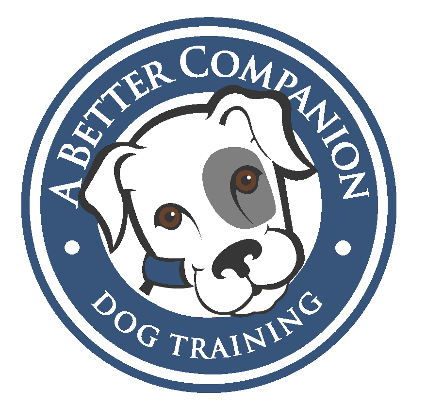 A Better Companion Dog Training
